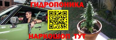 МДПВ Лесосибирск